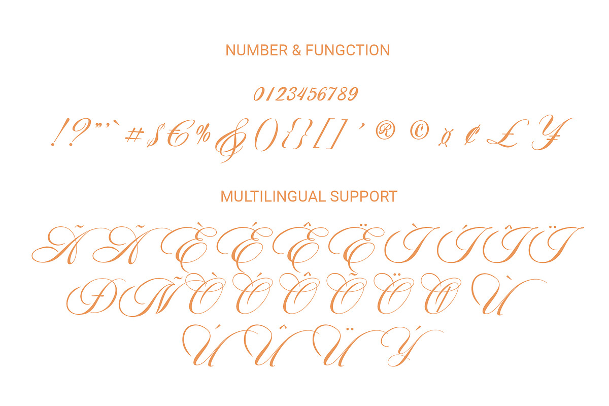 Romantica Caligraphy Modern Font, a Font by RHD Creative Studio (Photo 9 of 9)