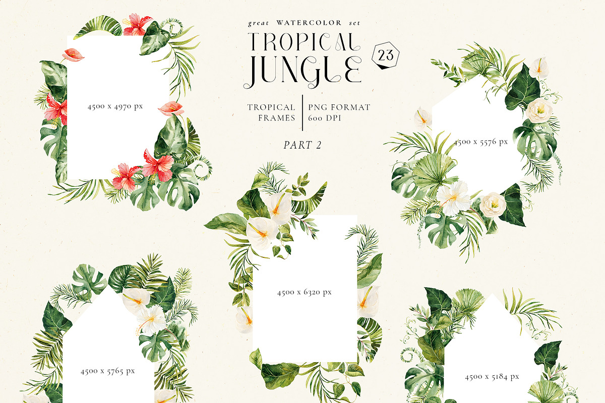 Tropical jungle - watercolor set, a Decorative Illustration by Pamyatka Shop (Photo 21 of 27)
