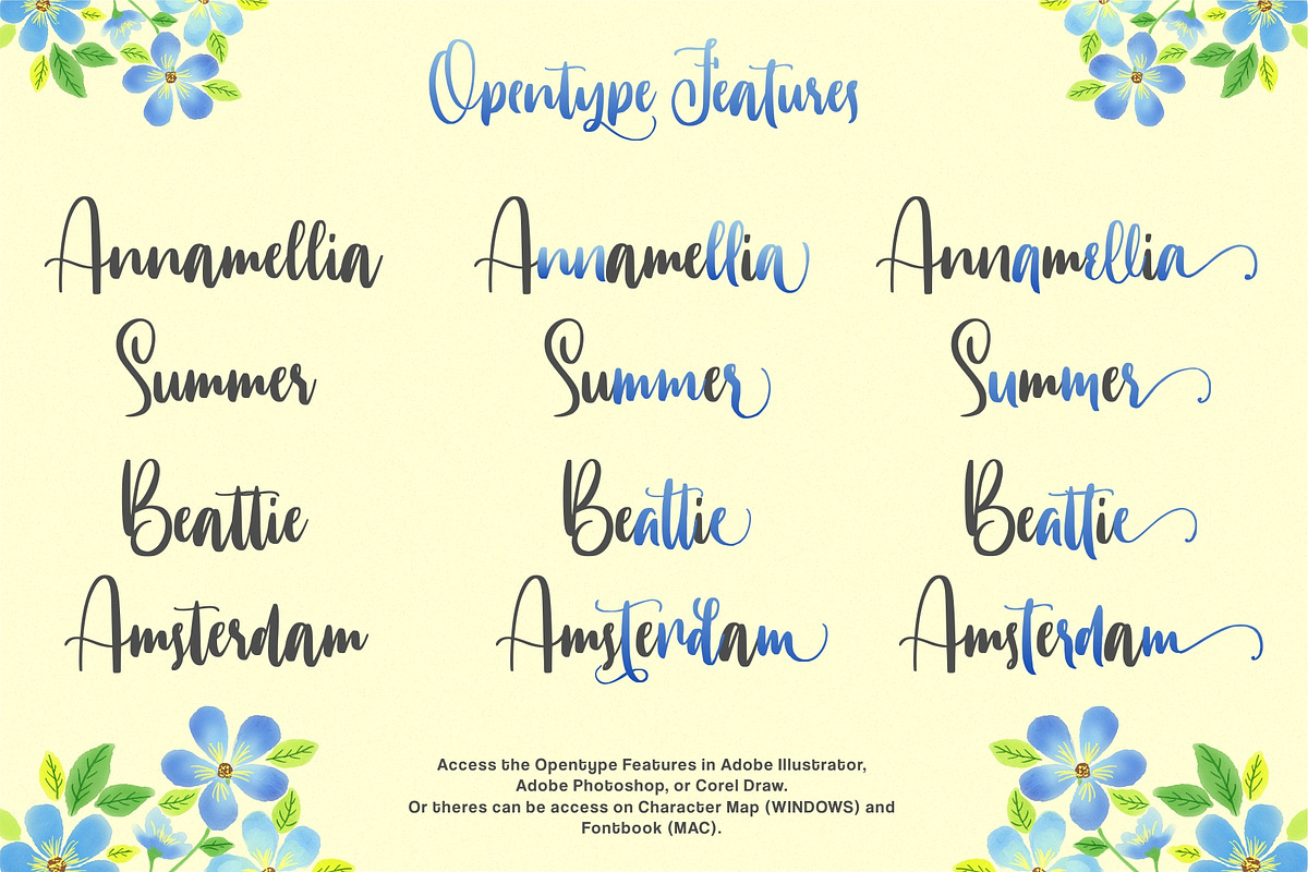 Annamellia - Handlettering Fonts preview 8