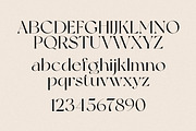 New York, a Serif Font by nevsky.type (Thumbnail 13 of 14)