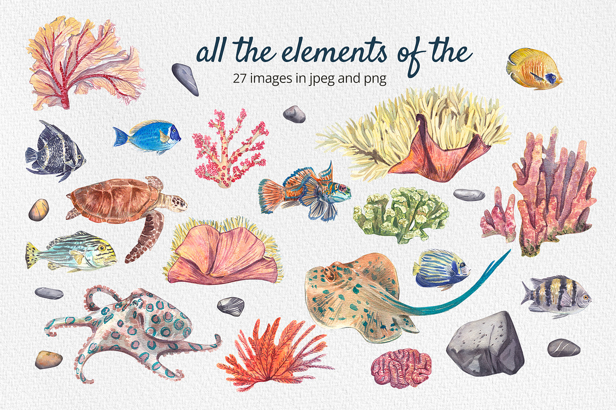 Coral Reef Watercolor Clipart, an Animal Illustration by Nastya Che (Photo 2 of 14)