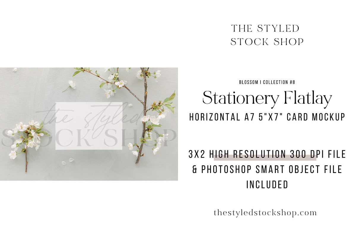 Blossom I Collection #8, a Product Mockup by The Styled Stock Shop