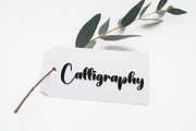 Bold Style | Script Font, a Script Font by Scratchones (Thumbnail 4 of 8)