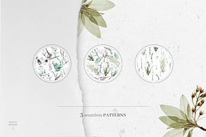 Gloomy Fairytale Graphic Collection.