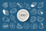 Ocean Shells Illustration, an Object Illustration by KetteCreate (Thumbnail 8 of 17)