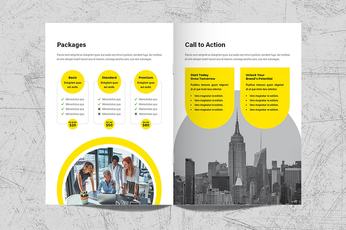 Sales Kit Template, a Brochure Template by White Graphic (Photo 10 of 11)