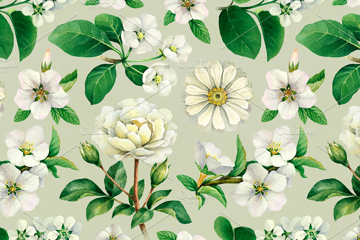 White summer nature illustrations, an Illustration by Sundra (Photo 5 of 5)