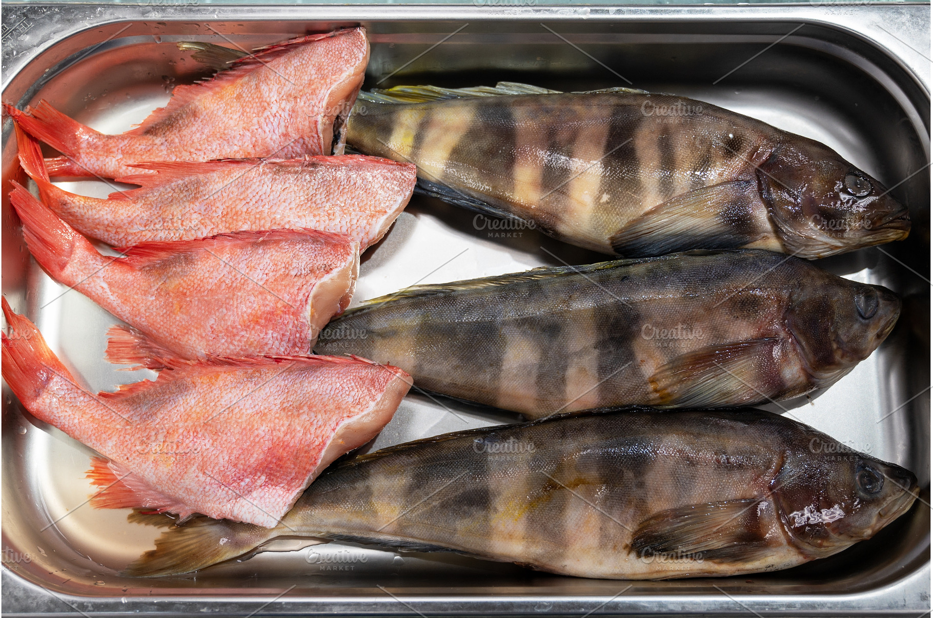 Fresh raw greenling fish and sea, a Food & Drink Photo by Jan Jack Russo Media