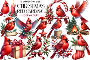 Red Cardinal Christmas Clipart, an Illustration by Daily.Designs (Thumbnail 1 of 3)