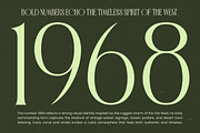 Badgeils Modern Alternate Serif, a Serif Font by timelesstype.co (Thumbnail 11 of 20)