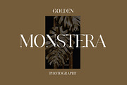Velomia Vanora Modern Serif Font, a Serif Font by UICreative (Thumbnail 4 of 13)