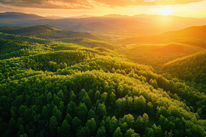 Sunset over lush green mountain fore, a Photo by Pixeness Studio