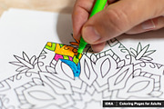 Mandala Vector Ornaments Bundle, a Decorative Illustration by pixaroma (Thumbnail 8 of 43)