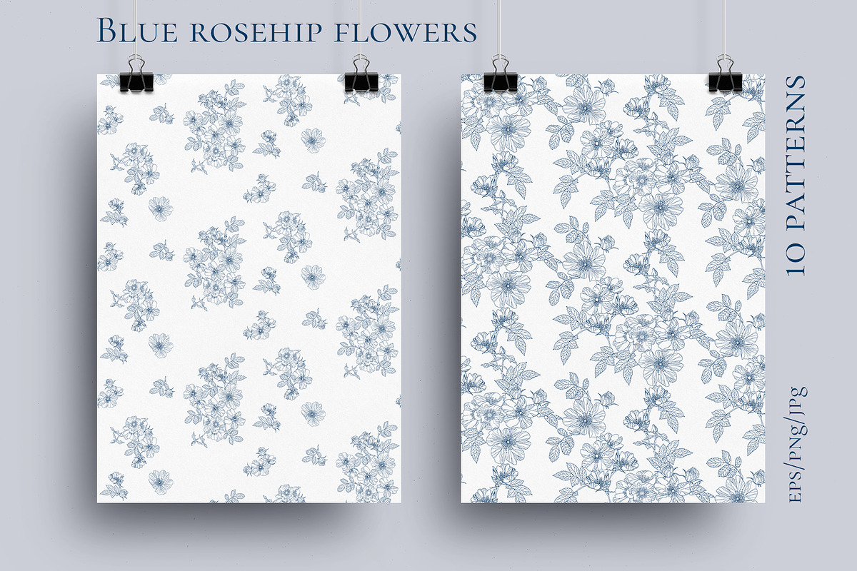 Blue rosehip flowers, a Decorative Illustration by LanaDzi (Photo 5 of 12)