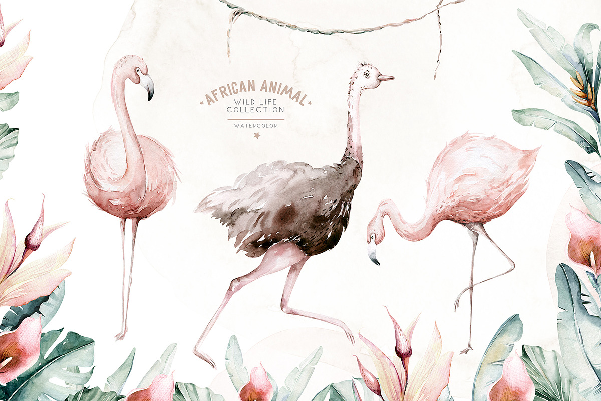 African animals watercolor set, an Animal Illustration by Peace ART (Photo 3 of 24)