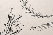 Ink Botanical Elements Vector Set, an Object Graphic by Christine Krahl (Thumbnail 11 of 12)