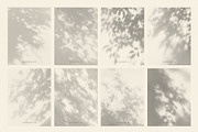 Dappled - Botanical Shadow Overlays, a Texture Graphic by alonahaidash (Thumbnail 11 of 16)