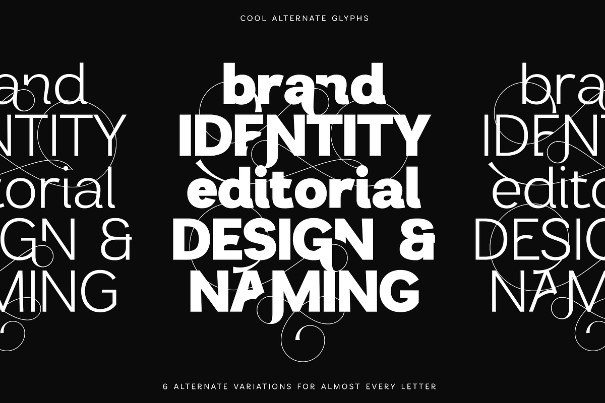 Sansform - Sans Serif Font Family, a Sans Serif Font by VP Fonts (Photo 18 of 19)