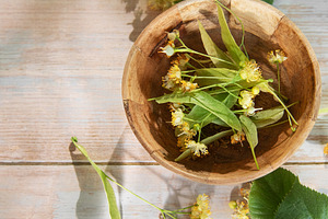 Linden flowers in wooden bowl on light wood, a Food & Drink Photo by Olena Rudo