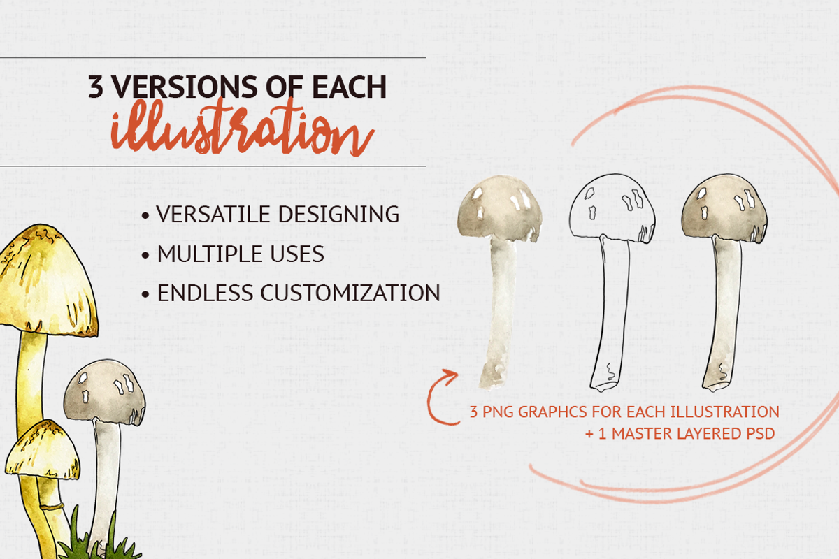 Woodland Mushroom Watercolors, an Illustration by plaidGecko (Photo 3 of 8)