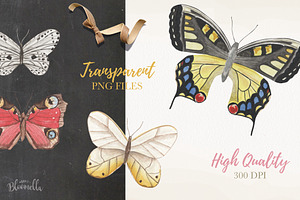 Watercolor Butterfly Clipart Set