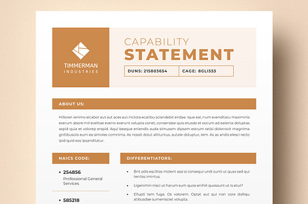 Capability Statement Template, a Stationery Template by DesVert