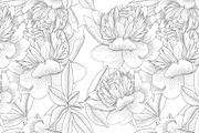 Graphic peonies, a Background Graphic by lycka (Thumbnail 2 of 3)