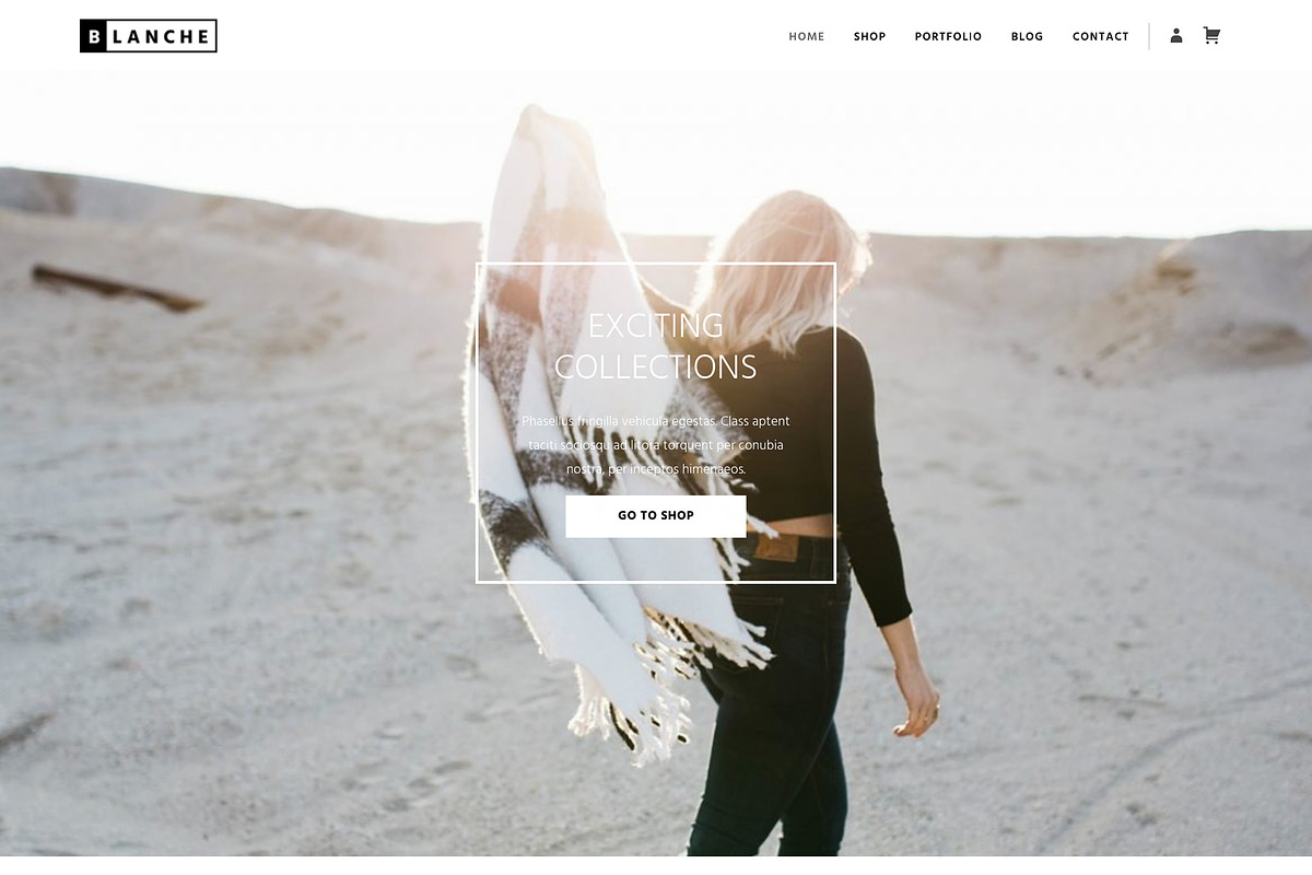 Blanche - Fashion & Shop WP Theme, a WordPress Template by Viva Themes (Photo 1 of 3)