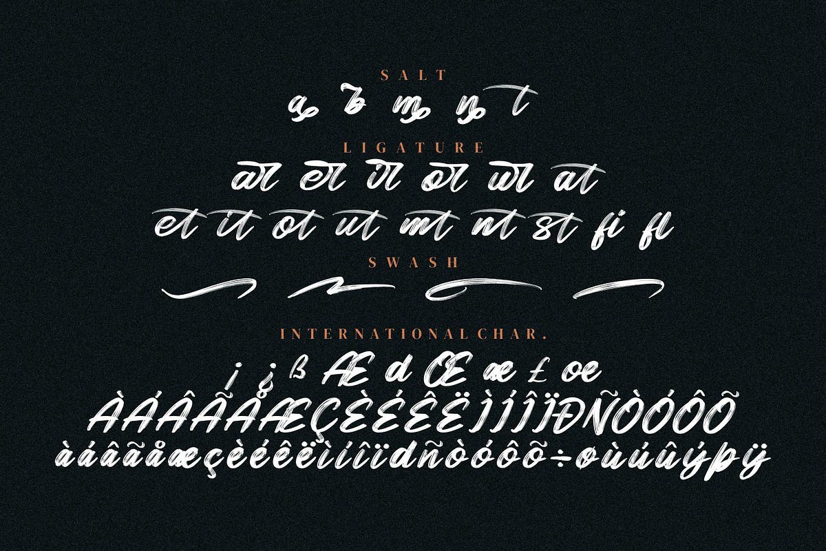 Black Raint, a Handwritten Font by Integritype Studio (Photo 7 of 10)