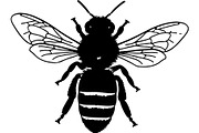 Bee Silhouette Bundle, a Background Graphic by Creativeshirt (Thumbnail 6 of 18)