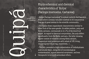 Lemon And Sage Display Serif Font, a Serif Font by Ayca Atalay (Thumbnail 4 of 6)