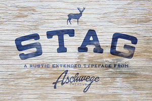 Stag