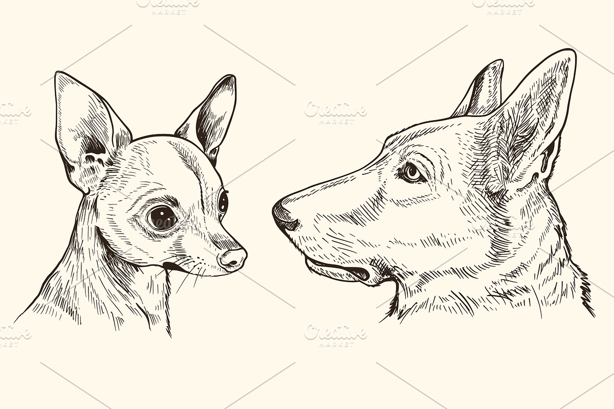 Hand Drawn Portraits of Animals, an Animal Illustration by Artspace (Photo 3 of 4)