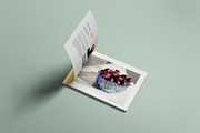 Landscape Magazine /brochure Mockup, a Books & Magazine Mockup by Tahtagraphic (Thumbnail 9 of 14)