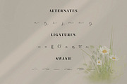 Asmeralka, a Script Font by Integritype Studio (Thumbnail 10 of 14)