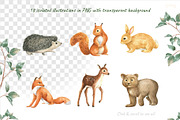 Woodland stories watercolor set, an Animal Illustration by Lososenok (Thumbnail 6 of 12)