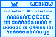 Exploration Views font, a Slab Serif Font by weknow (Thumbnail 8 of 8)