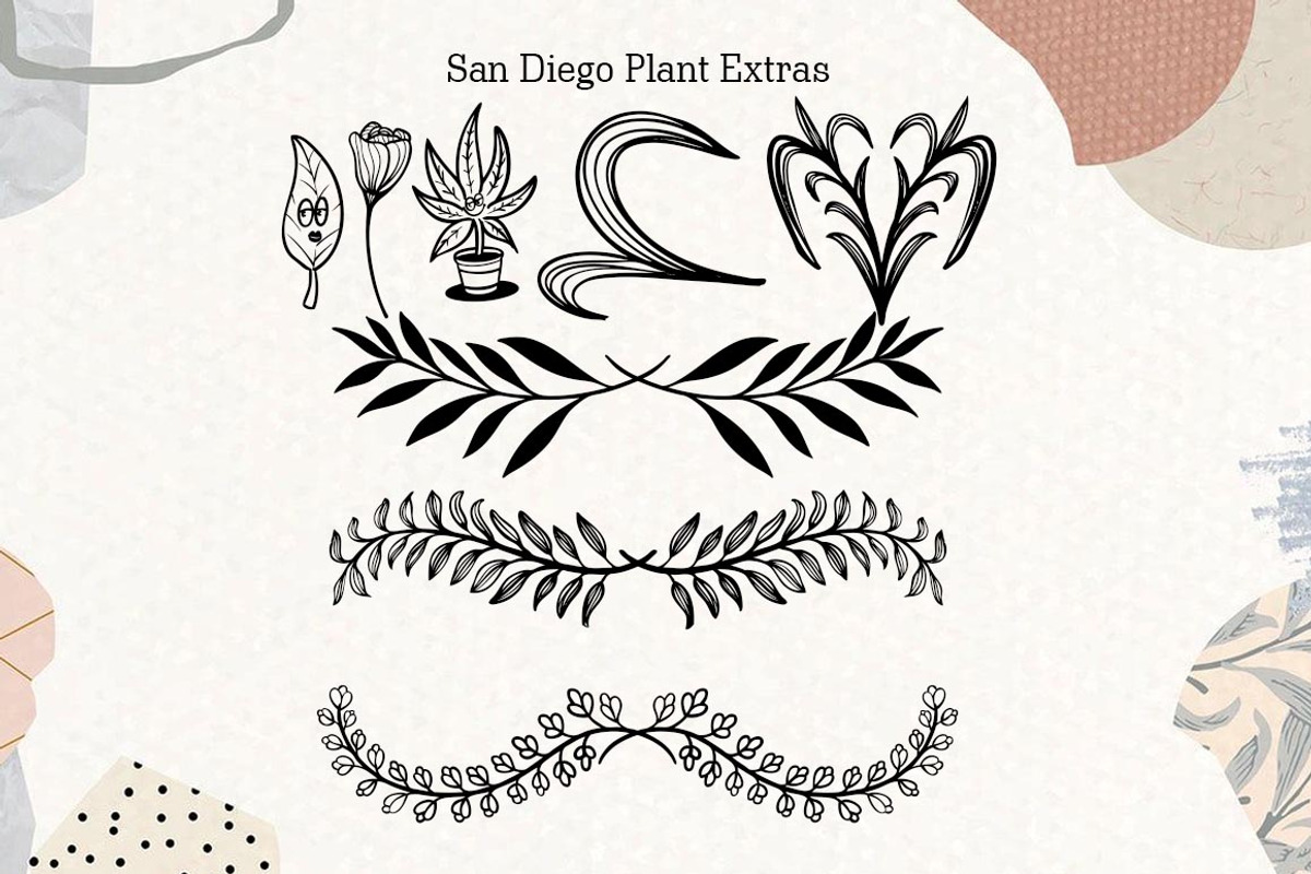 San Diego, a Script Font by Zaenal Studio (Photo 4 of 13)