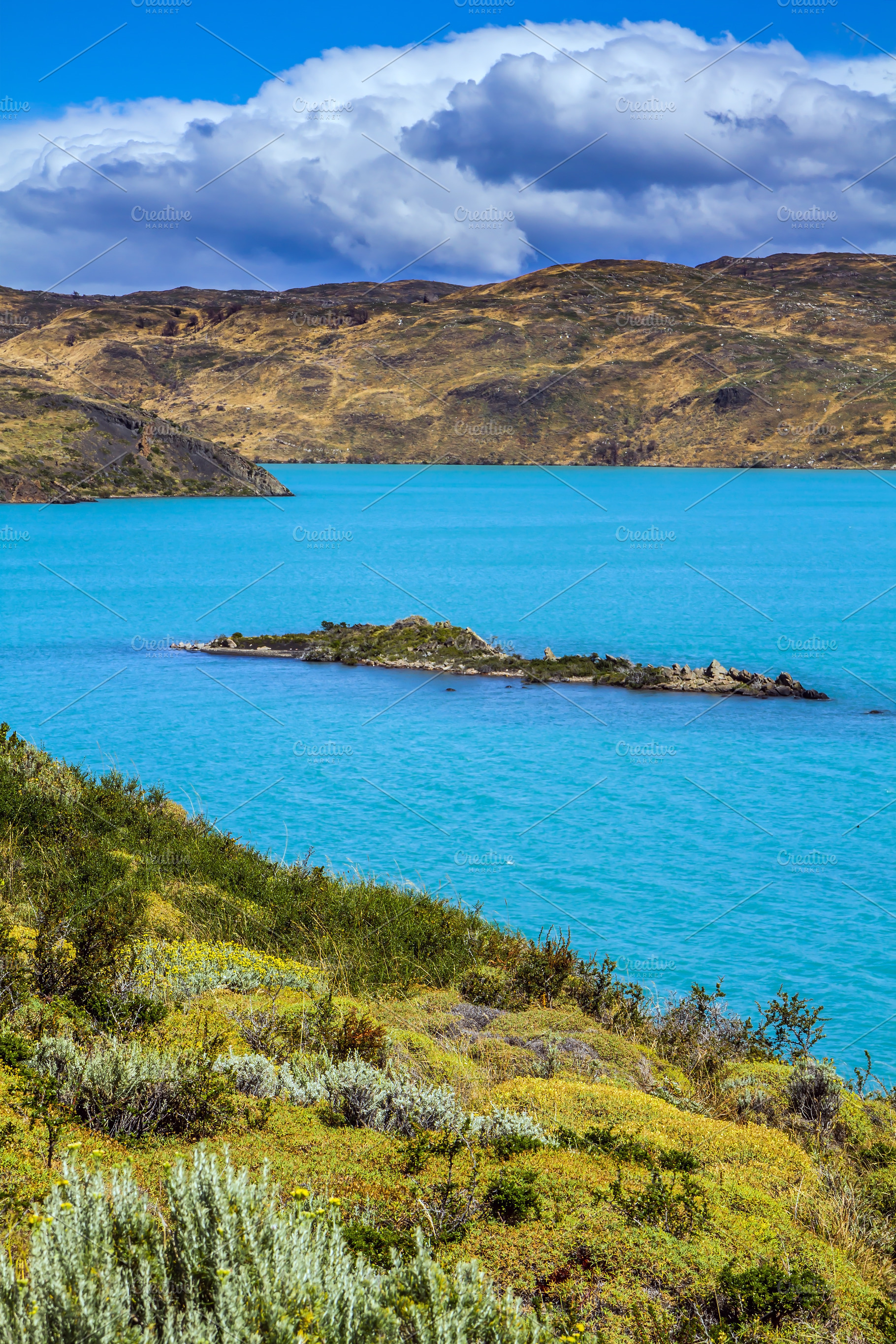 Rio Paine, a Nature Photo by kavram