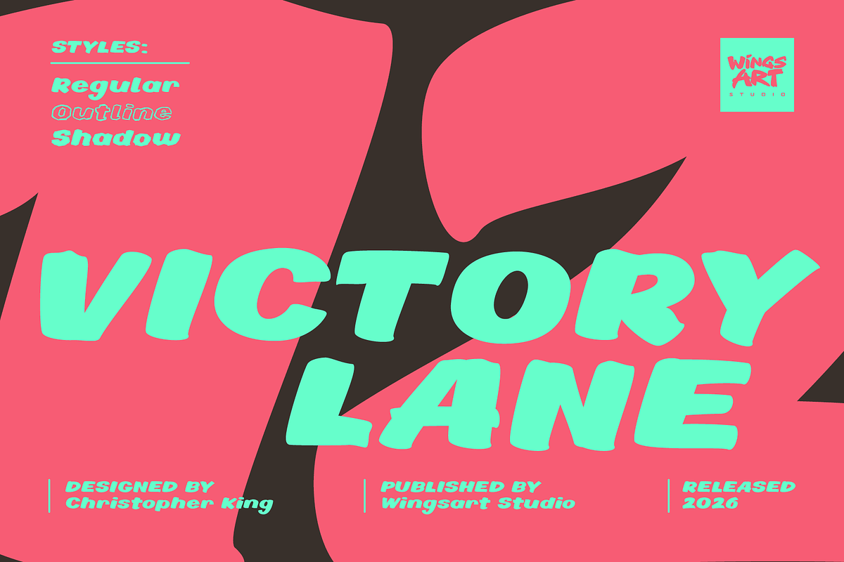 Victory Lane: A Racing Brush Font, a Handwritten Font by Wingsart Studio (Photo 1 of 15)