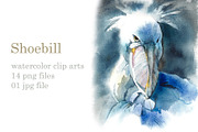 Watercolor Sketches Shoebill, an Animal Illustration by Budogoshch (Thumbnail 2 of 6)