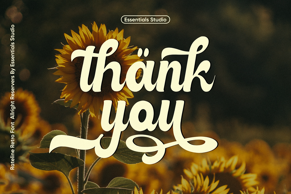 Rateline - Retro Script Font 2 Style, a Script Font by Essentials Studio (Photo 15 of 15)