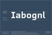 Rigid Square, a Sans Serif Font by Dharma Type (Thumbnail 7 of 10)