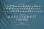 Belliana Signature Font, a Script Font by syabab studio (Thumbnail 4 of 12)