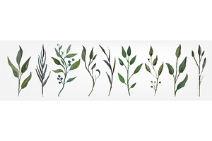 Watercolor green branches with, an Object Illustration by art PVP - market