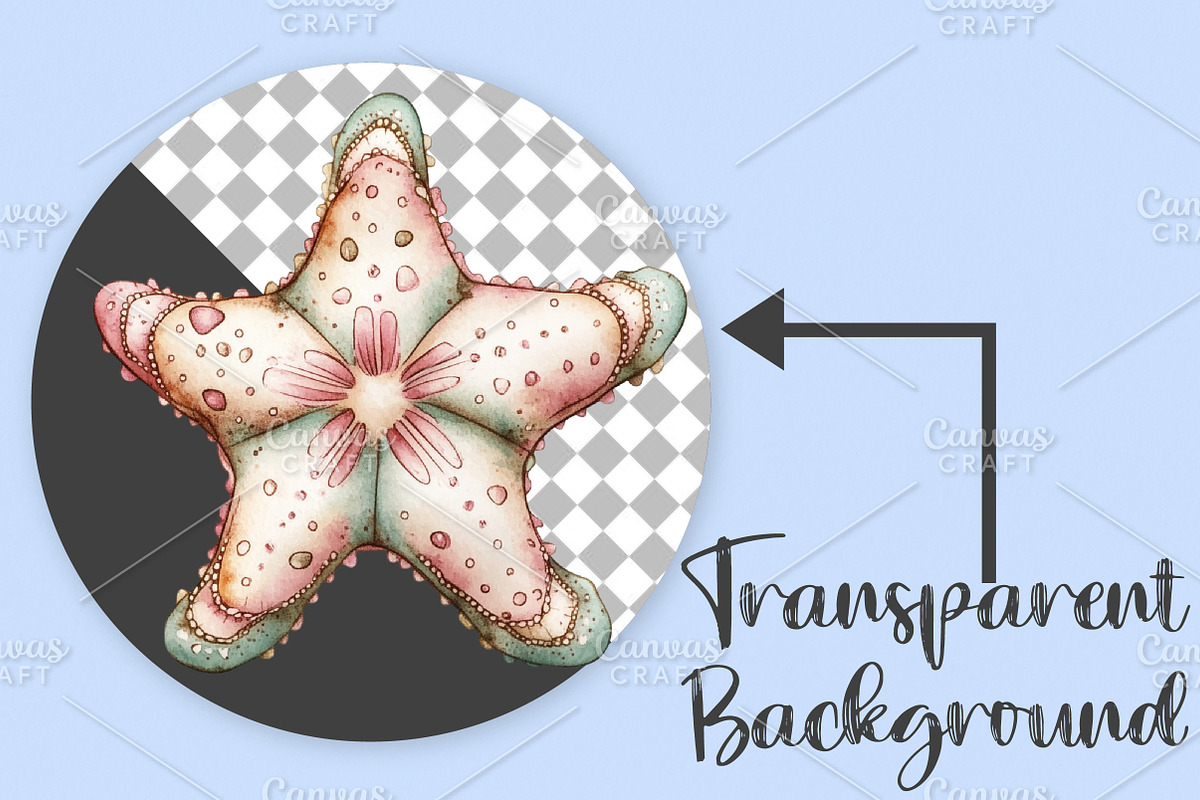 Whimsical Summer Starfish Clipart, an Illustration by Canvas Craft (Photo 2 of 7)
