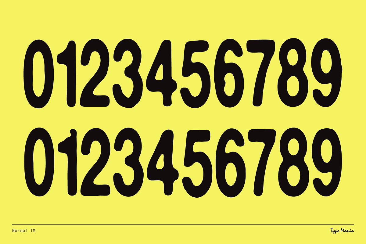 Normal TM – Gently Handled Grotesk, a Sans Serif Font by Type Mania (Photo 11 of 12)