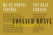 Repyakh Serif type family, a Serif Font by LevType (Thumbnail 12 of 14)