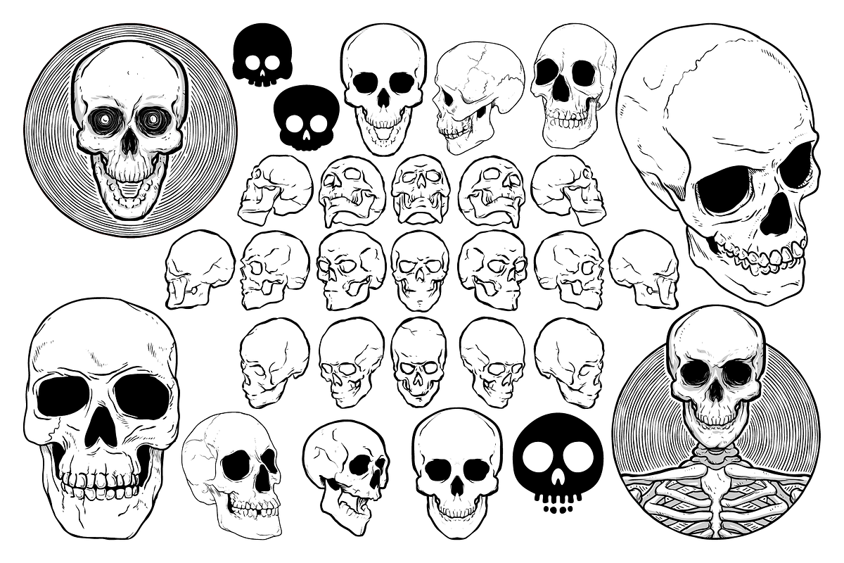 Skele Skull Vector Pack, an Illustration by Vectory by BSC (Photo 3 of 3)