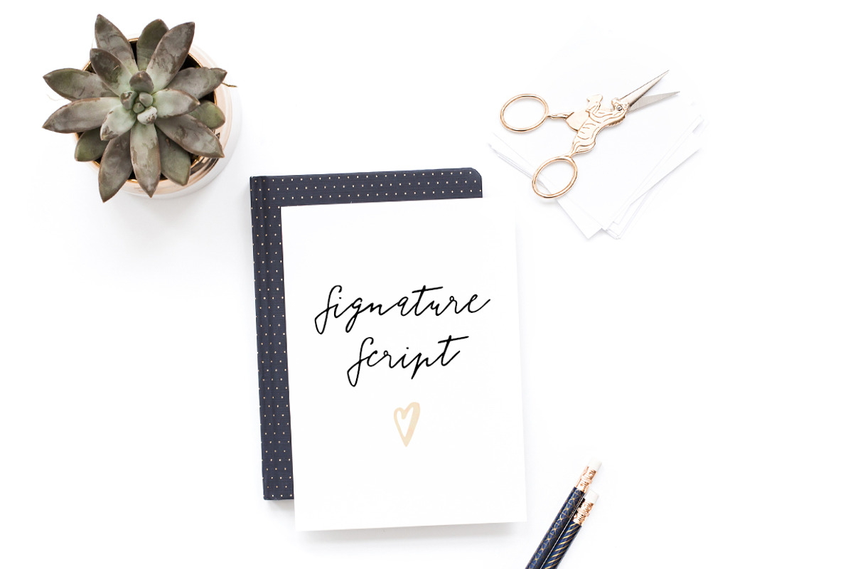 Florisa signature script preview 2